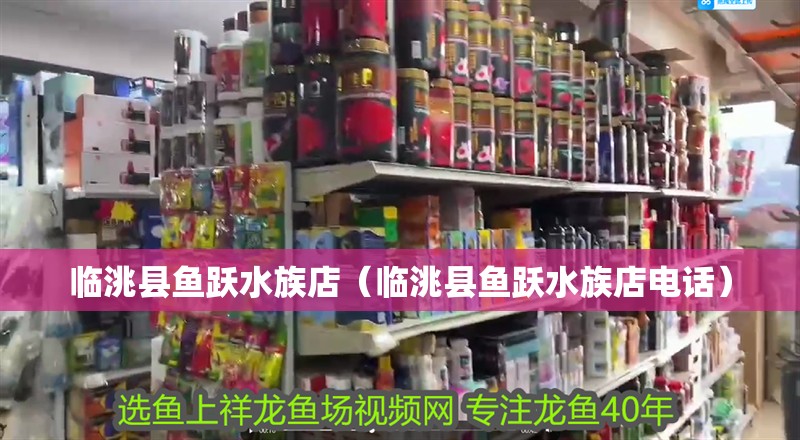 臨洮縣魚躍水族店（臨洮縣魚躍水族店電話）