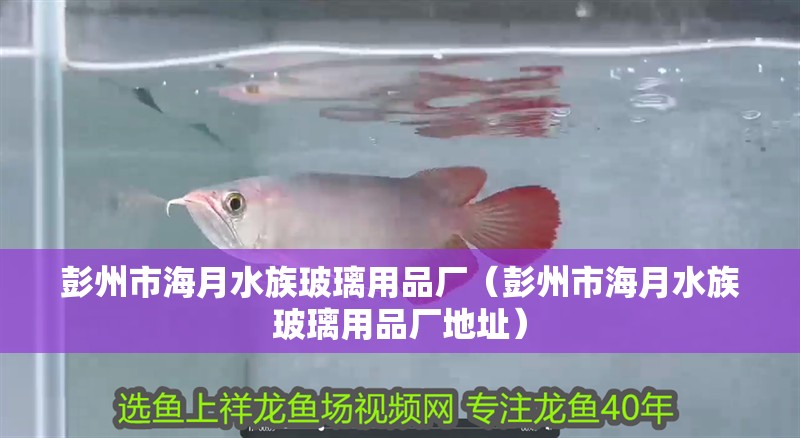 彭州市海月水族玻璃用品廠（彭州市海月水族玻璃用品廠地址）
