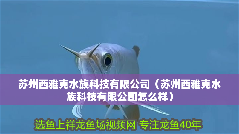 蘇州西雅克水族科技有限公司（蘇州西雅克水族科技有限公司怎么樣）