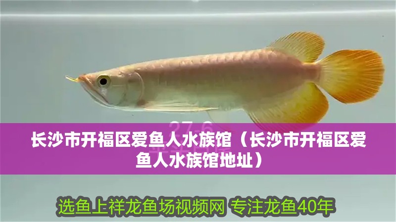 長沙市開福區愛魚人水族館（長沙市開福區愛魚人水族館地址）