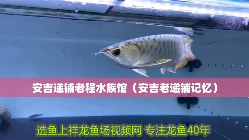 安吉遞鋪老程水族館（安吉老遞鋪記憶）