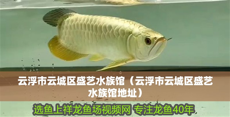 云浮市云城區(qū)盛藝水族館(云浮市云城區(qū)盛藝水族館地址) 全國水族館企業(yè)名錄 第2張 云浮市云城區(qū)盛藝水族館(云浮市云城區(qū)盛藝水族館地址) 云浮市云城區(qū)盛藝水族館(云浮市云城區(qū)盛藝水族館地址) 全國水族館企業(yè)名錄 第2張