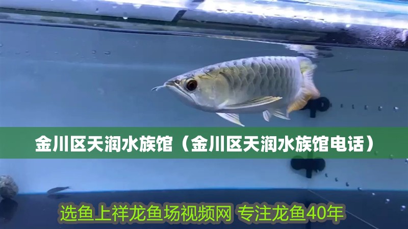 金川區天潤水族館（金川區天潤水族館電話）