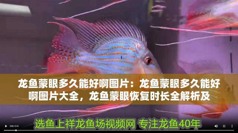 龍魚蒙眼多久能好啊圖片：龍魚蒙眼多久能好啊圖片大全，龍魚蒙眼恢復時長全解析及