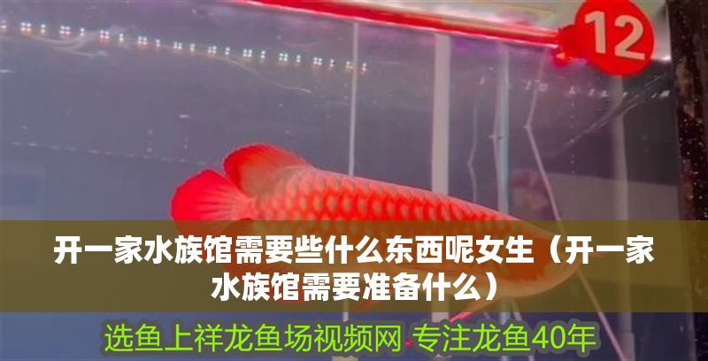 開一家水族館需要些什么東西呢女生（開一家水族館需要準(zhǔn)備什么）