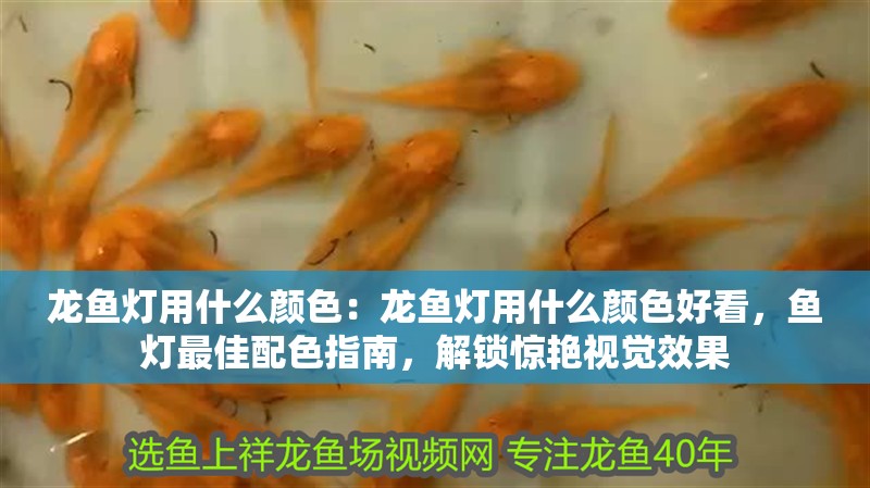 龍魚燈用什么顏色：龍魚燈用什么顏色好看，魚燈最佳配色指南，解鎖驚艷視覺效果