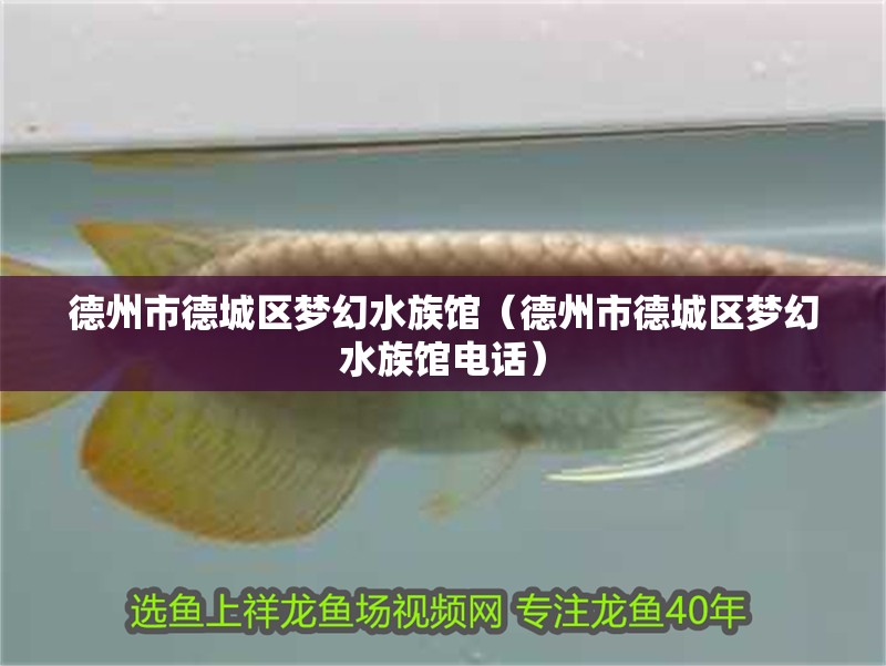 德州市德城區夢幻水族館（德州市德城區夢幻水族館電話）