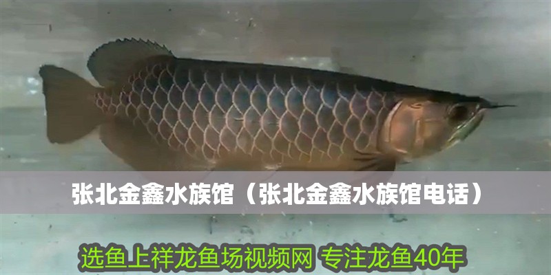 張北金鑫水族館（張北金鑫水族館電話）