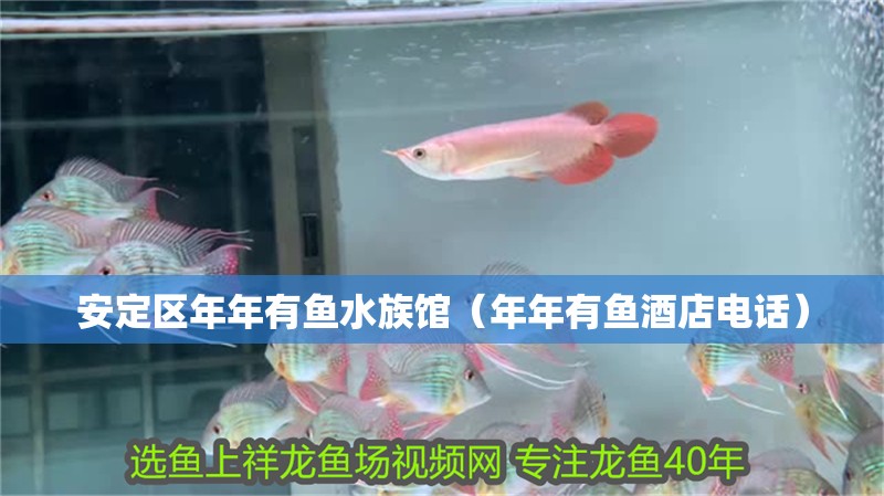 安定區(qū)年年有魚水族館（年年有魚酒店電話）