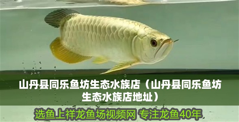 山丹縣同樂魚坊生態水族店(山丹縣同樂魚坊生態水族店地址) 全國水族館企業名錄 第2張 山丹縣同樂魚坊生態水族店(山丹縣同樂魚坊生態水族店地址) 山丹縣同樂魚坊生態水族店(山丹縣同樂魚坊生態水族店地址) 全國水族館企業名錄 第2張