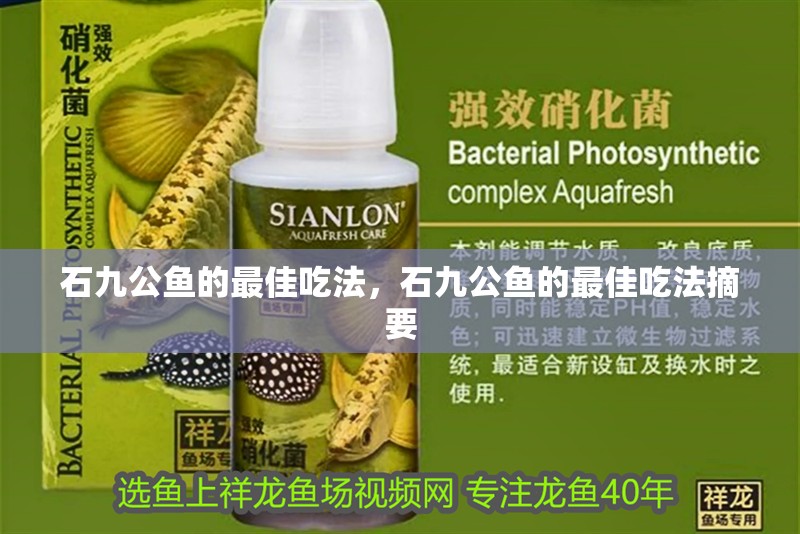 石九公魚的最佳吃法，石九公魚的最佳吃法摘要