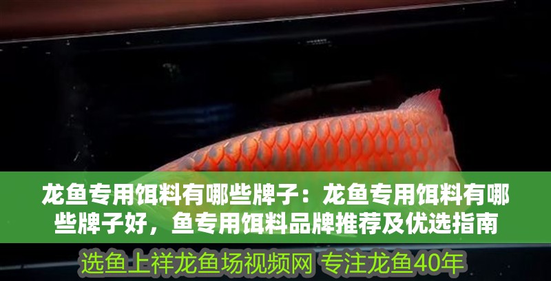 龍魚專用餌料有哪些牌子：龍魚專用餌料有哪些牌子好，魚專用餌料品牌推薦及優(yōu)選指南