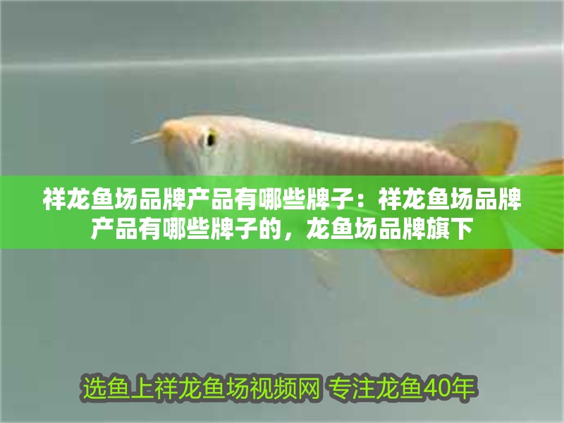 祥龍魚場品牌產品有哪些牌子：祥龍魚場品牌產品有哪些牌子的，龍魚場品牌旗下