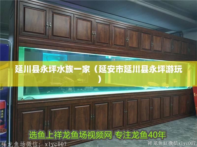 延川縣永坪水族一家（延安市延川縣永坪游玩）