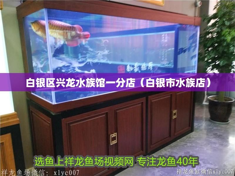 白銀區(qū)興龍水族館一分店（白銀市水族店）