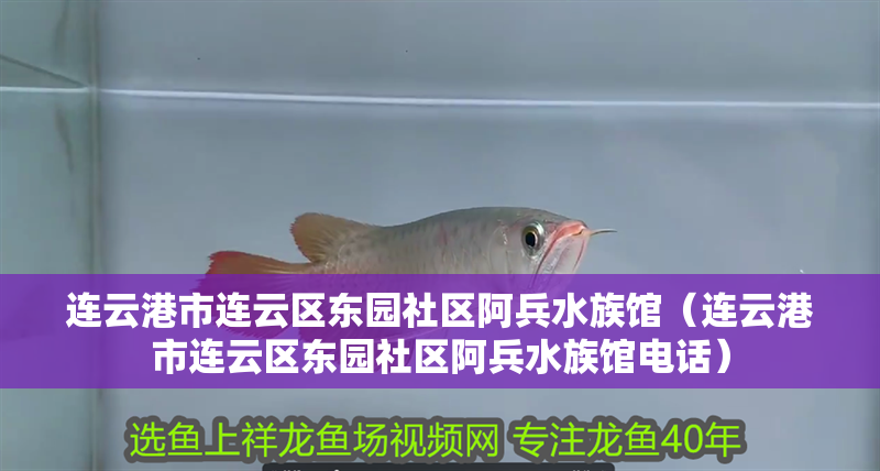 連云港市連云區東園社區阿兵水族館（連云港市連云區東園社區阿兵水族館電話）