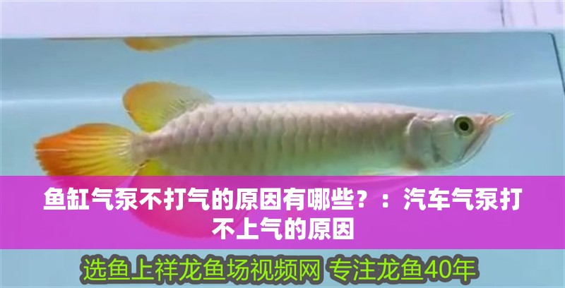 魚缸氣泵不打氣的原因有哪些？：汽車氣泵打不上氣的原因
