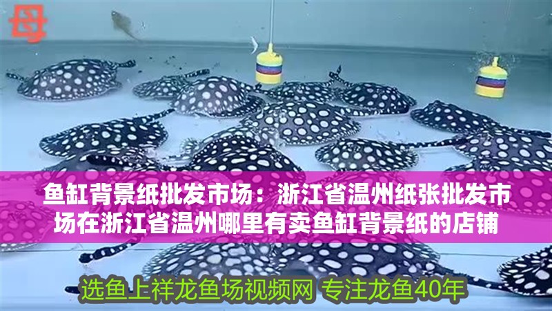 魚缸背景紙批發市場：浙江省溫州紙張批發市場在浙江省溫州哪里有賣魚缸背景紙的店鋪