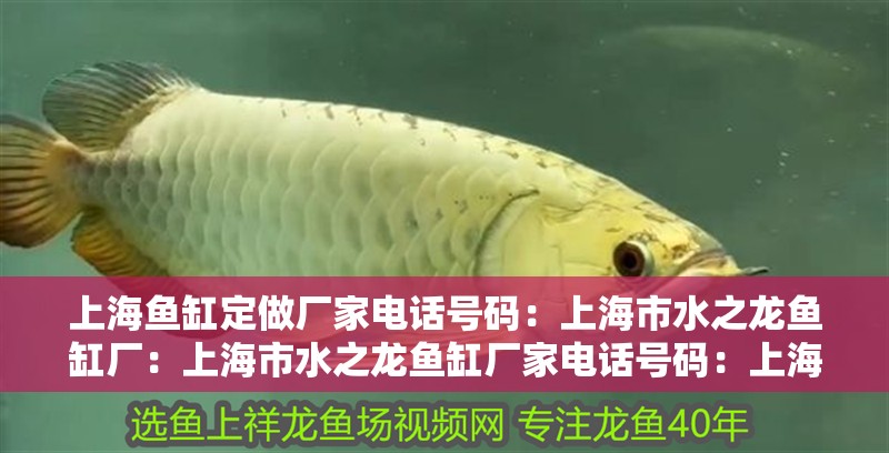 上海魚缸定做廠家電話號碼：上海市水之龍魚缸廠：上海市水之龍魚缸廠家電話號碼：上海市水之龍魚缸廠