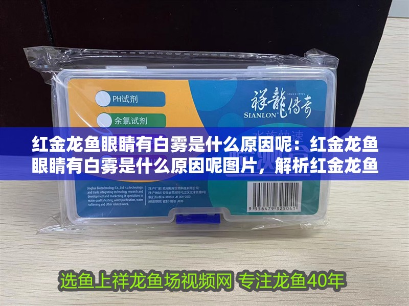 紅金龍魚眼睛有白霧是什么原因呢：紅金龍魚眼睛有白霧是什么原因呢圖片，解析紅金龍魚眼睛出現白霧