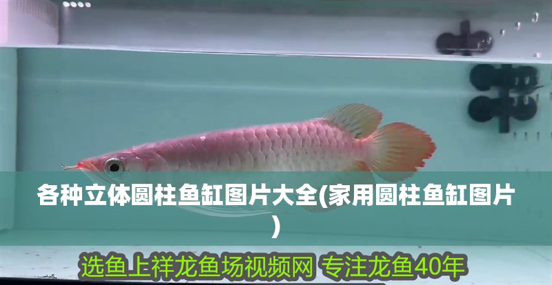 各種立體圓柱魚缸圖片大全(家用圓柱魚缸圖片)