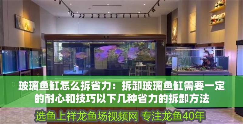 玻璃魚缸怎么拆省力：拆卸玻璃魚缸需要一定的耐心和技巧以下幾種省力的拆卸方法