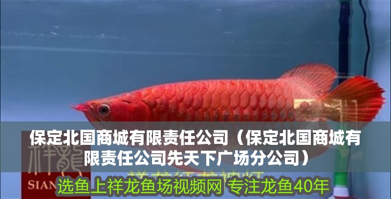 保定北國商城有限責任公司（保定北國商城有限責任公司先天下廣場分公司）