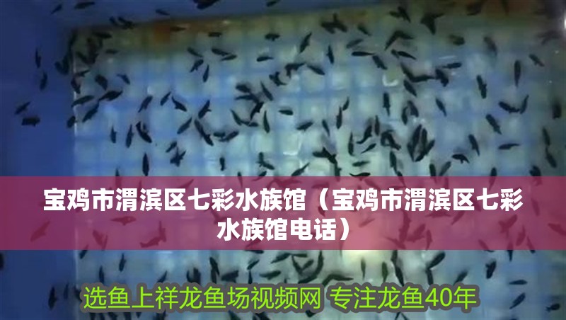 寶雞市渭濱區(qū)七彩水族館（寶雞市渭濱區(qū)七彩水族館電話）