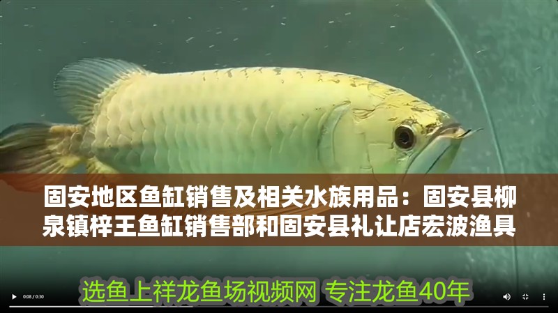 固安地區魚缸銷售及相關水族用品：固安縣柳泉鎮梓王魚缸銷售部和固安縣禮讓店宏波漁具廠