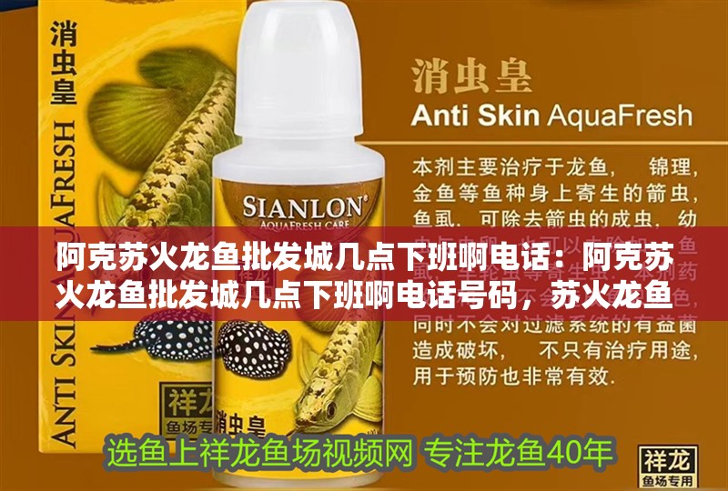 阿克蘇火龍魚批發(fā)城幾點(diǎn)下班啊電話：阿克蘇火龍魚批發(fā)城幾點(diǎn)下班啊電話號(hào)碼，蘇火龍魚批發(fā)城營(yíng)業(yè)時(shí)間及