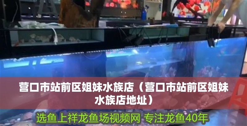 營口市站前區姐妹水族店（營口市站前區姐妹水族店地址）