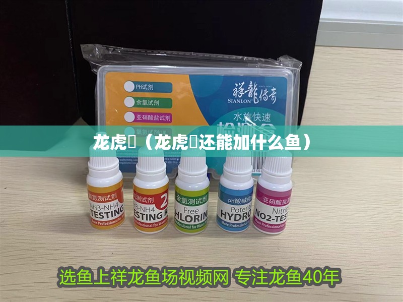 龍虎魟（龍虎魟還能加什么魚）