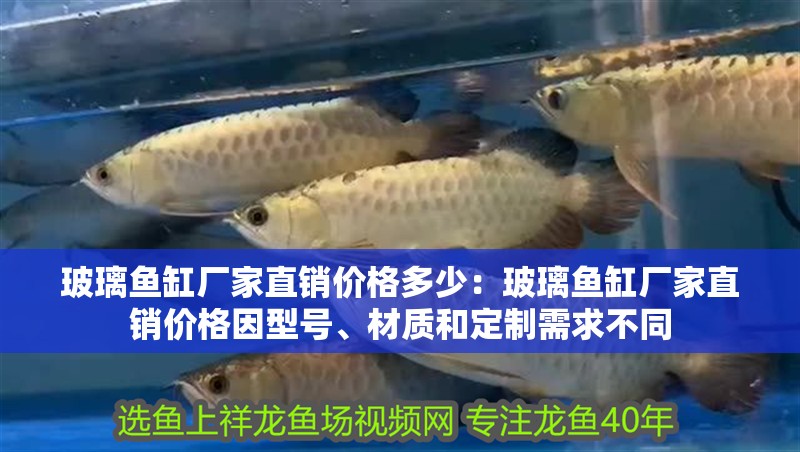 玻璃魚(yú)缸廠家直銷(xiāo)價(jià)格多少：玻璃魚(yú)缸廠家直銷(xiāo)價(jià)格因型號(hào)、材質(zhì)和定制需求不同