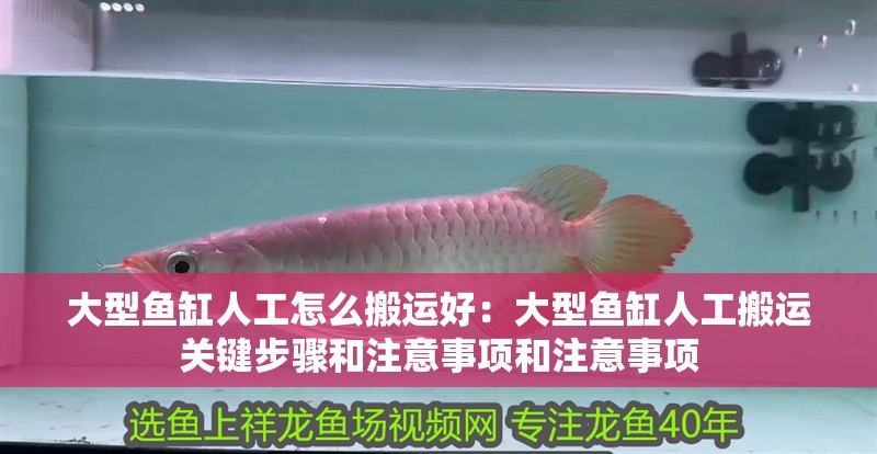 大型魚缸人工怎么搬運好：大型魚缸人工搬運關鍵步驟和注意事項和注意事項