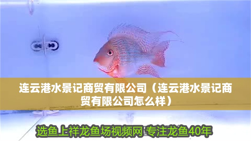 連云港水景記商貿有限公司（連云港水景記商貿有限公司怎么樣） 連云港水景記商貿有限公司（連云港水景記商貿有限公司怎么樣） 全國水族館企業名錄 第2張