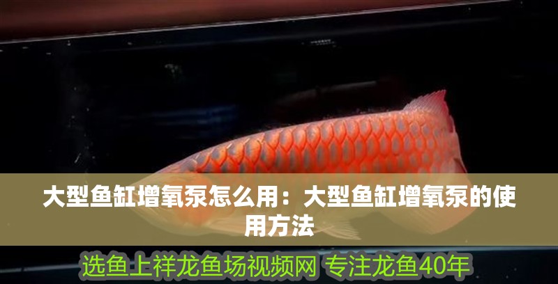 大型魚缸增氧泵怎么用：大型魚缸增氧泵的使用方法
