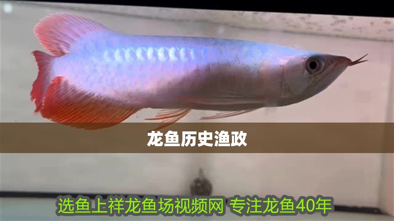 龍魚歷史漁政