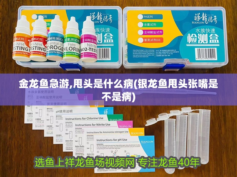 金龍魚急游,甩頭是什么病(銀龍魚甩頭張嘴是不是病)