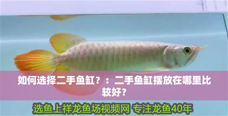 如何選擇二手魚缸？：二手魚缸擺放在哪里比較好？
