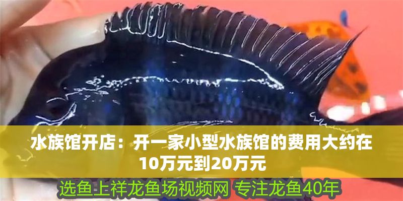 水族館開店：開一家小型水族館的費用大約在10萬元到20萬元