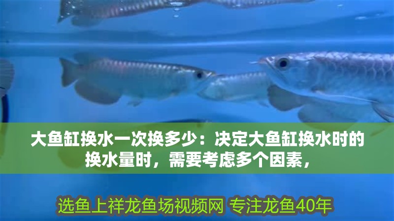 大魚缸換水一次換多少：決定大魚缸換水時的換水量時，需要考慮多個因素，
