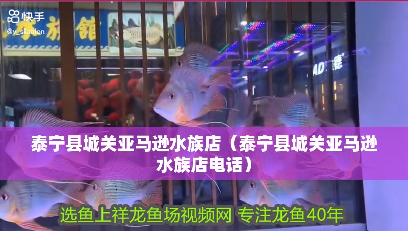 泰寧縣城關亞馬遜水族店（泰寧縣城關亞馬遜水族店電話） 泰寧縣城關亞馬遜水族店（泰寧縣城關亞馬遜水族店電話） 全國水族館企業名錄 第2張
