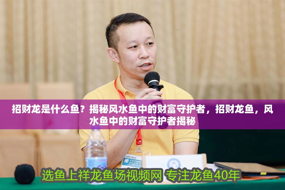 招財龍是什么魚？揭秘風水魚中的財富守護者，招財龍魚，風水魚中的財富守護者揭秘