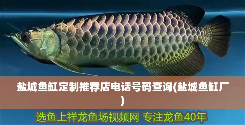 鹽城魚缸定制推薦店電話號碼查詢(鹽城魚缸廠)