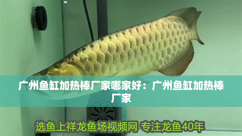 廣州魚缸加熱棒廠家哪家好：廣州魚缸加熱棒廠家
