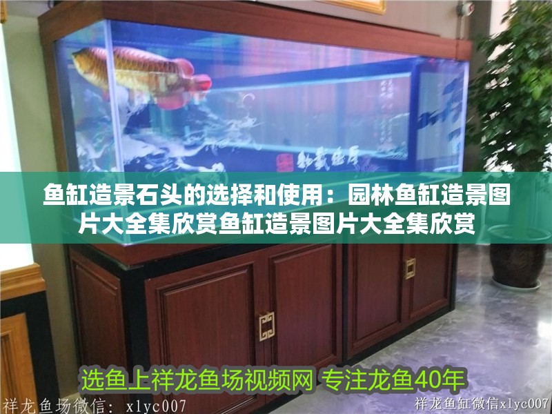 魚缸造景石頭的選擇和使用：園林魚缸造景圖片大全集欣賞魚缸造景圖片大全集欣賞