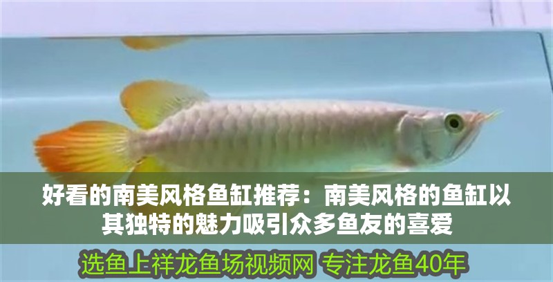 好看的南美風格魚缸推薦：南美風格的魚缸以其獨特的魅力吸引眾多魚友的喜愛