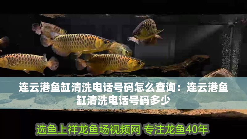 連云港魚缸清洗電話號碼怎么查詢：連云港魚缸清洗電話號碼多少