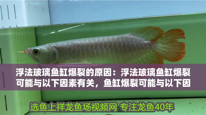 浮法玻璃魚缸爆裂的原因：浮法玻璃魚缸爆裂可能與以下因素有關，魚缸爆裂可能與以下因素有關