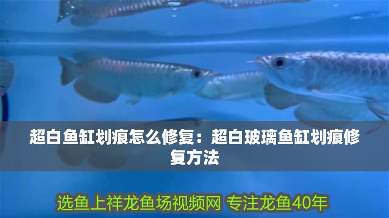 超白魚缸劃痕怎么修復(fù)：超白玻璃魚缸劃痕修復(fù)方法